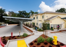 Solar panels covering parking spaces at Calistoga Family Apartments