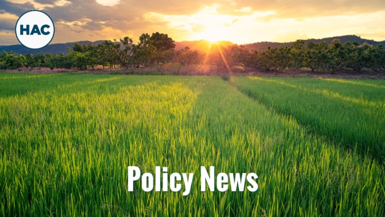 Policy News field