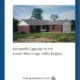 Nonprofit Capacity in the Lower Mississippi Delta Region_Cover
