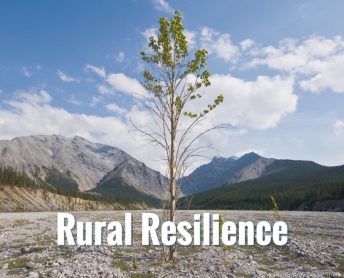 Rural Resilience Feature Image