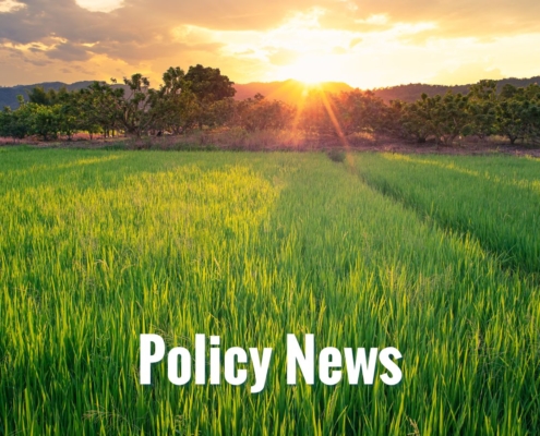 Policy News field