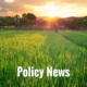 Policy News field